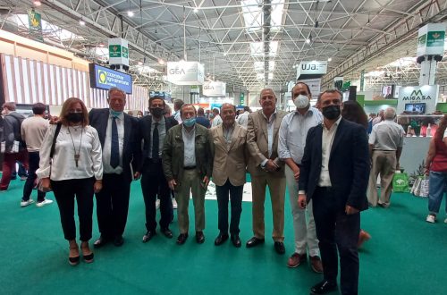 Expoliva 1